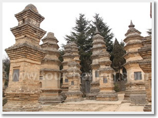 Luoyang 2 Day Private Tour Package